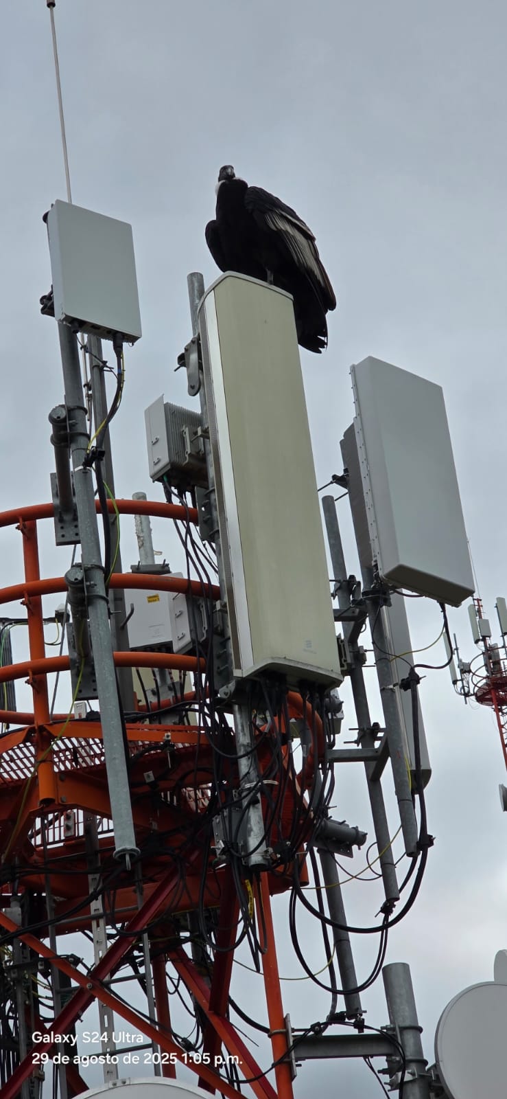 Instalación RF